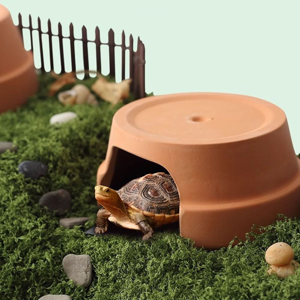 Multifunctional Ceramics Repti - Hide Cave Ceramic recensione e prezzo