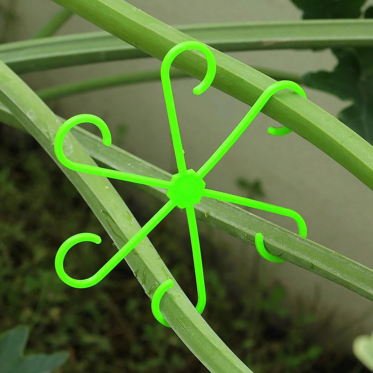1Pc Plastic Plant Support Clip - Vine Climbing Plastic recensione e prezzo