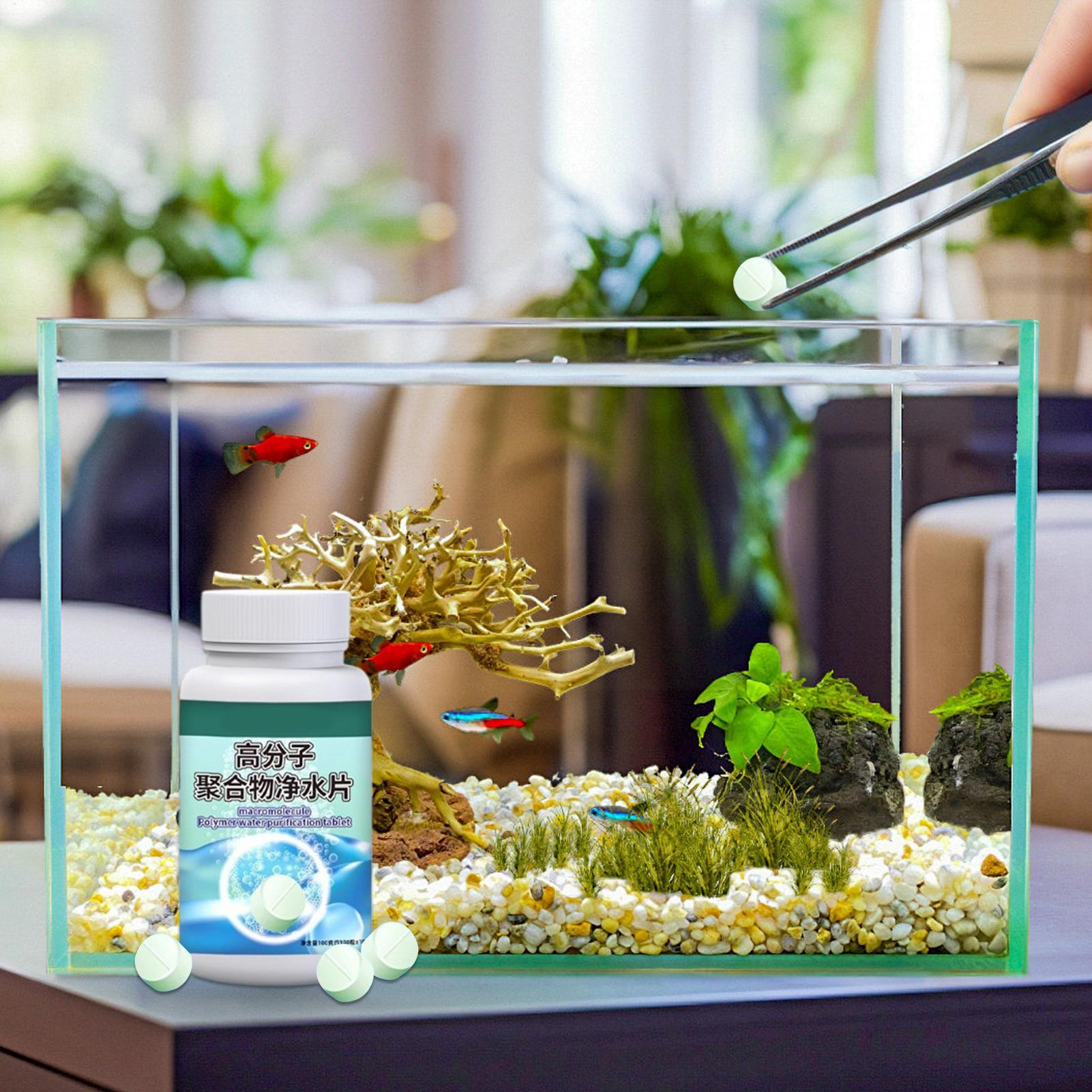 Fish Can Algae Remover Aquariu - Water Dish Reptile recensione e prezzo