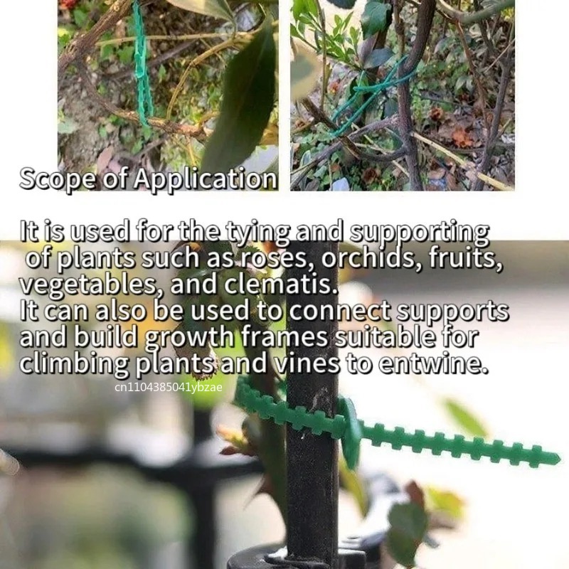 50-1000pcs Adjustable Plastic  - Vine Climbing Plastic recensione e prezzo