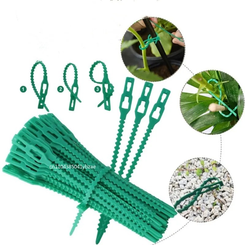 50-1000pcs Adjustable Plastic  - Vine Climbing Plastic recensione e prezzo