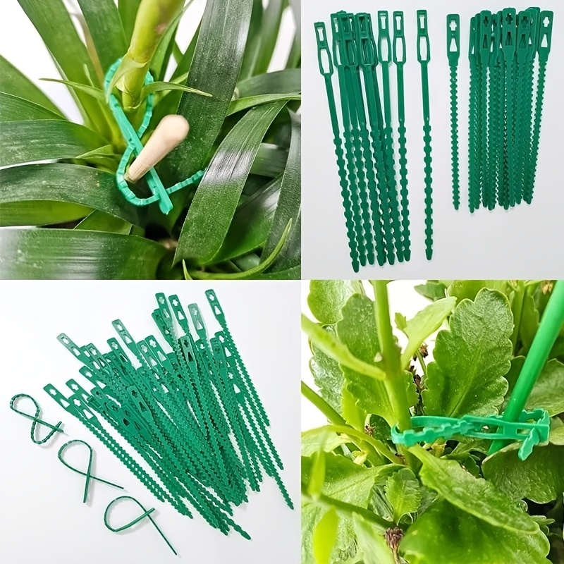 100PCS Reusable Adjustable Pla - Vine Climbing Plastic recensione e prezzo
