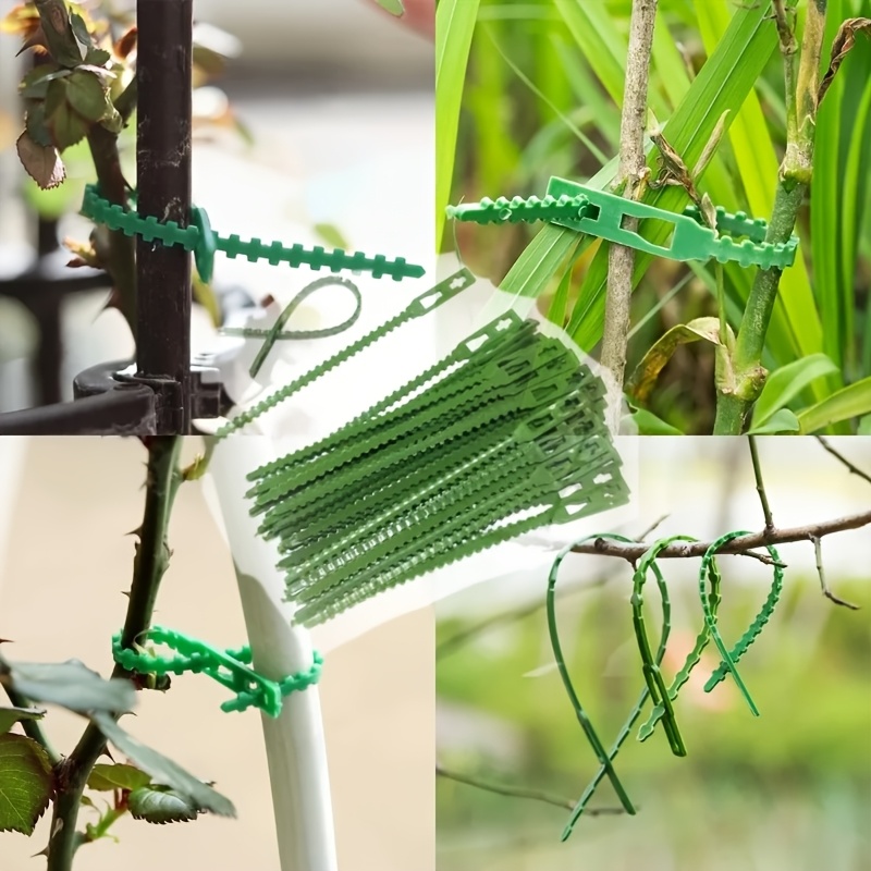 100PCS Reusable Adjustable Pla - Vine Climbing Plastic recensione e prezzo