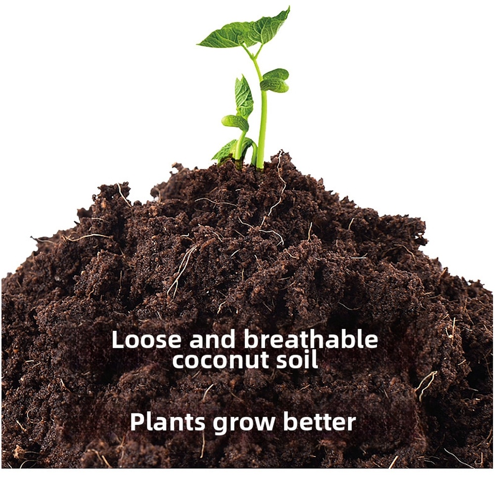 3*3cm Compressed Coir Brick Co - Substrate Coconut Fiber recensione e prezzo