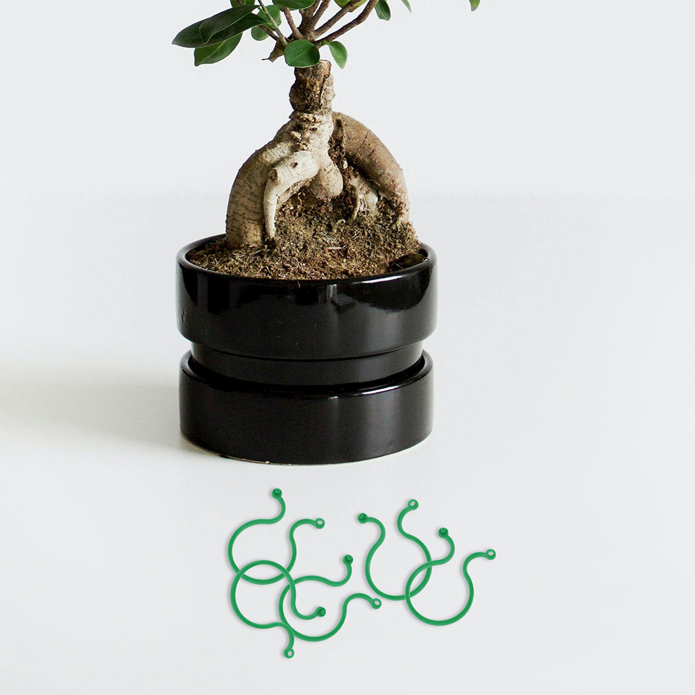 200Pcs Plastic Garden Plant Cl - Vine Climbing Plastic recensione e prezzo
