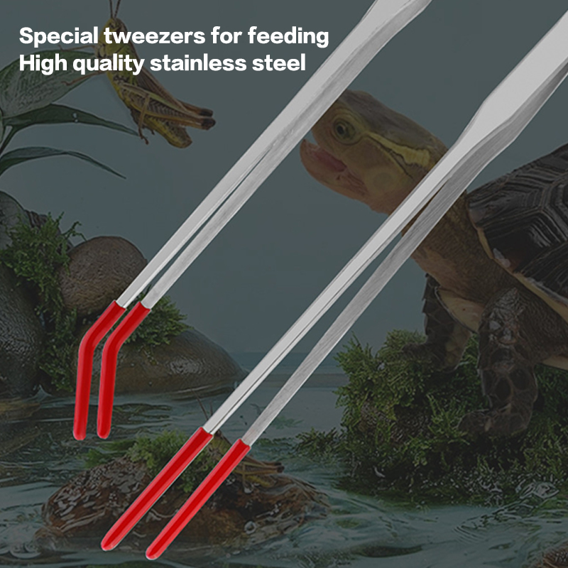 Stainless Steel Fish Tank Main - Feeding Tong Stainless recensione e prezzo