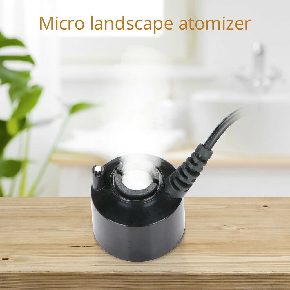 24V Mini Heavy Fog Ultrasonic  - Terrarium Fogger Ultrasonic recensione e prezzo