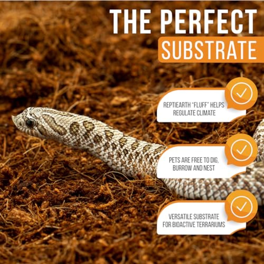 Bioactive terrarium bedding fo - Substrate Coconut Fiber recensione e prezzo