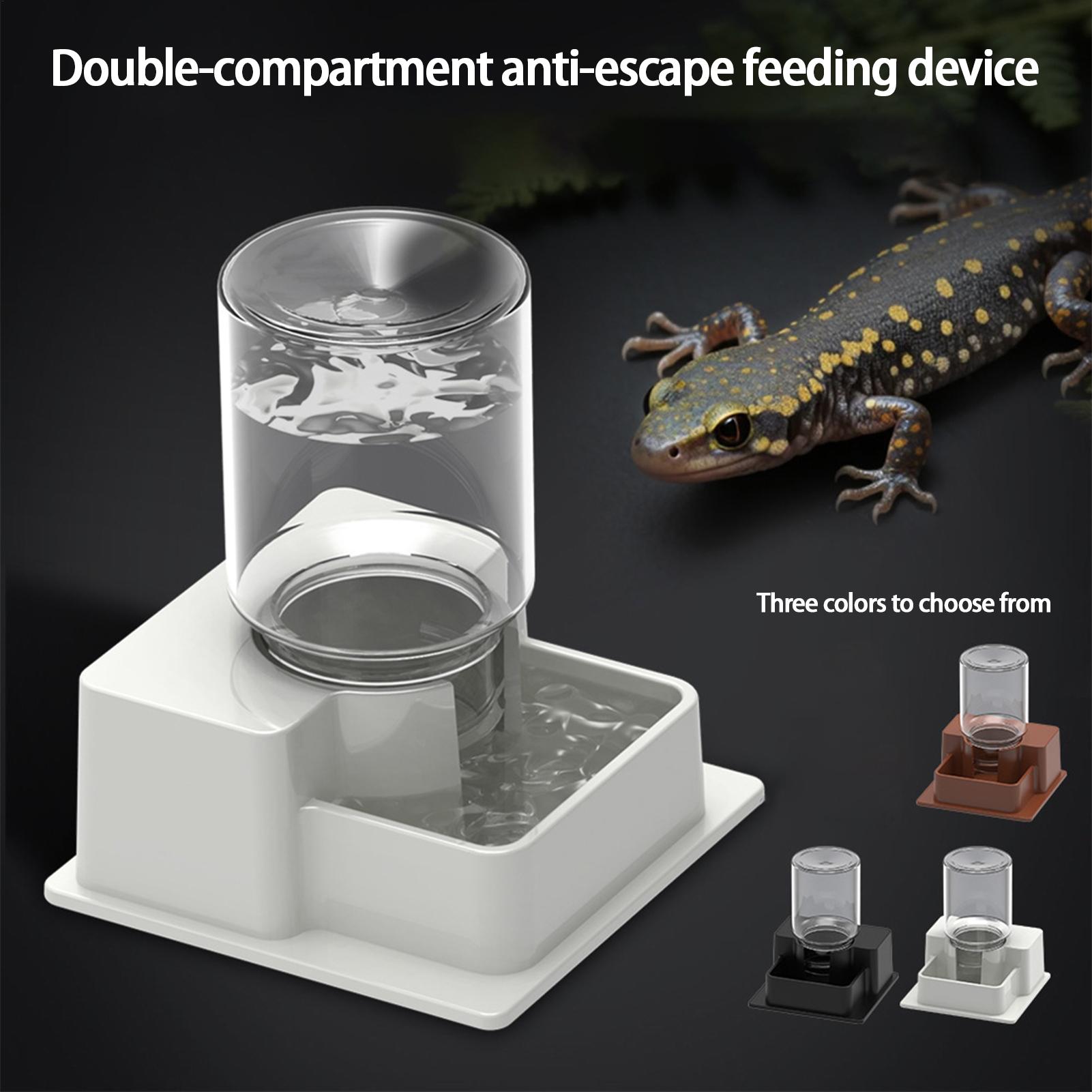Automatic Reptile Water Dish R - Water Dish Reptile recensione e prezzo