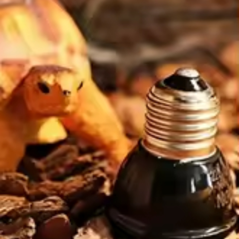 Reptile Ceramic Heat Emitter M - Ceramic Heat Emitter recensione e prezzo