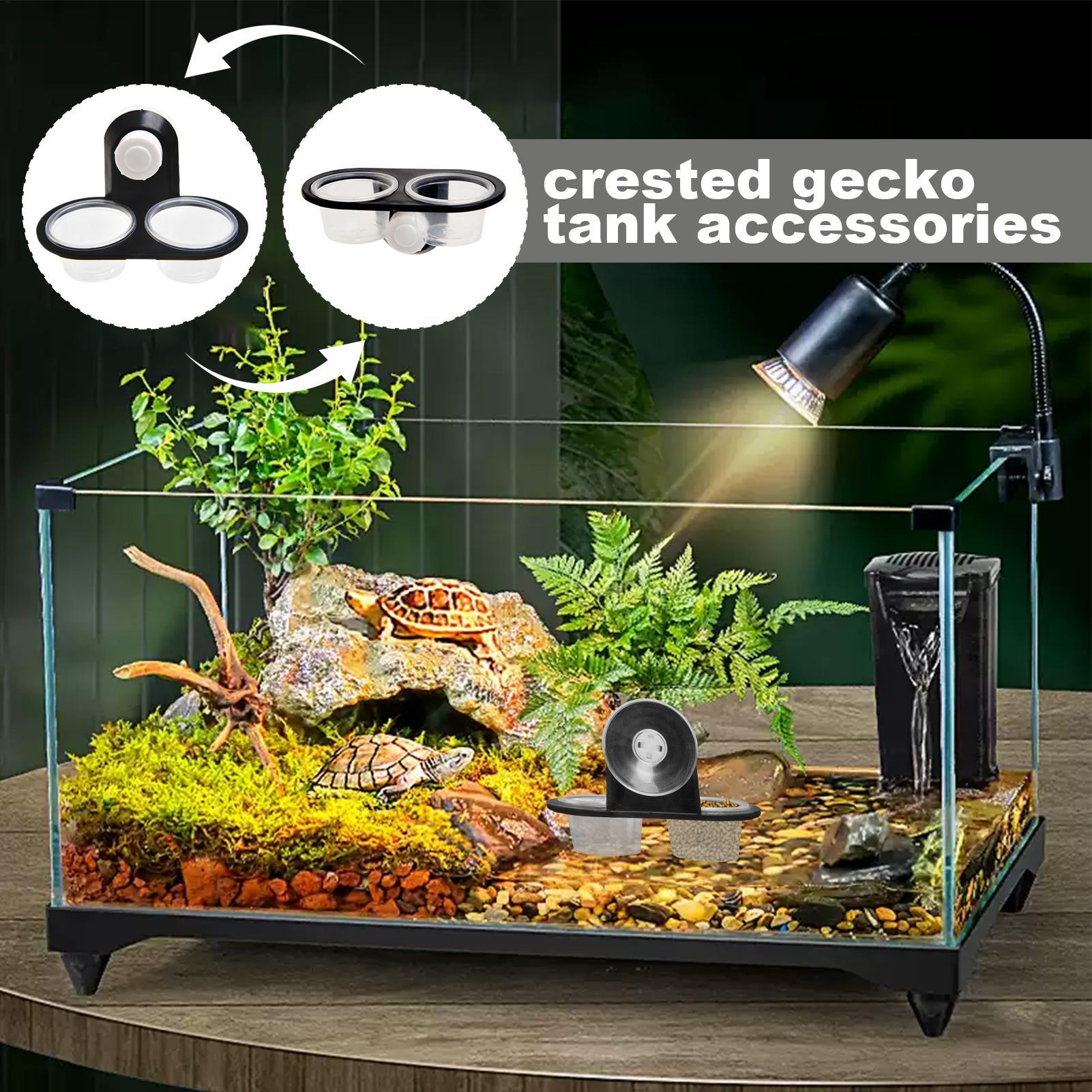 Gecko Feeder Ledge with Detach - Water Dish Reptile recensione e prezzo