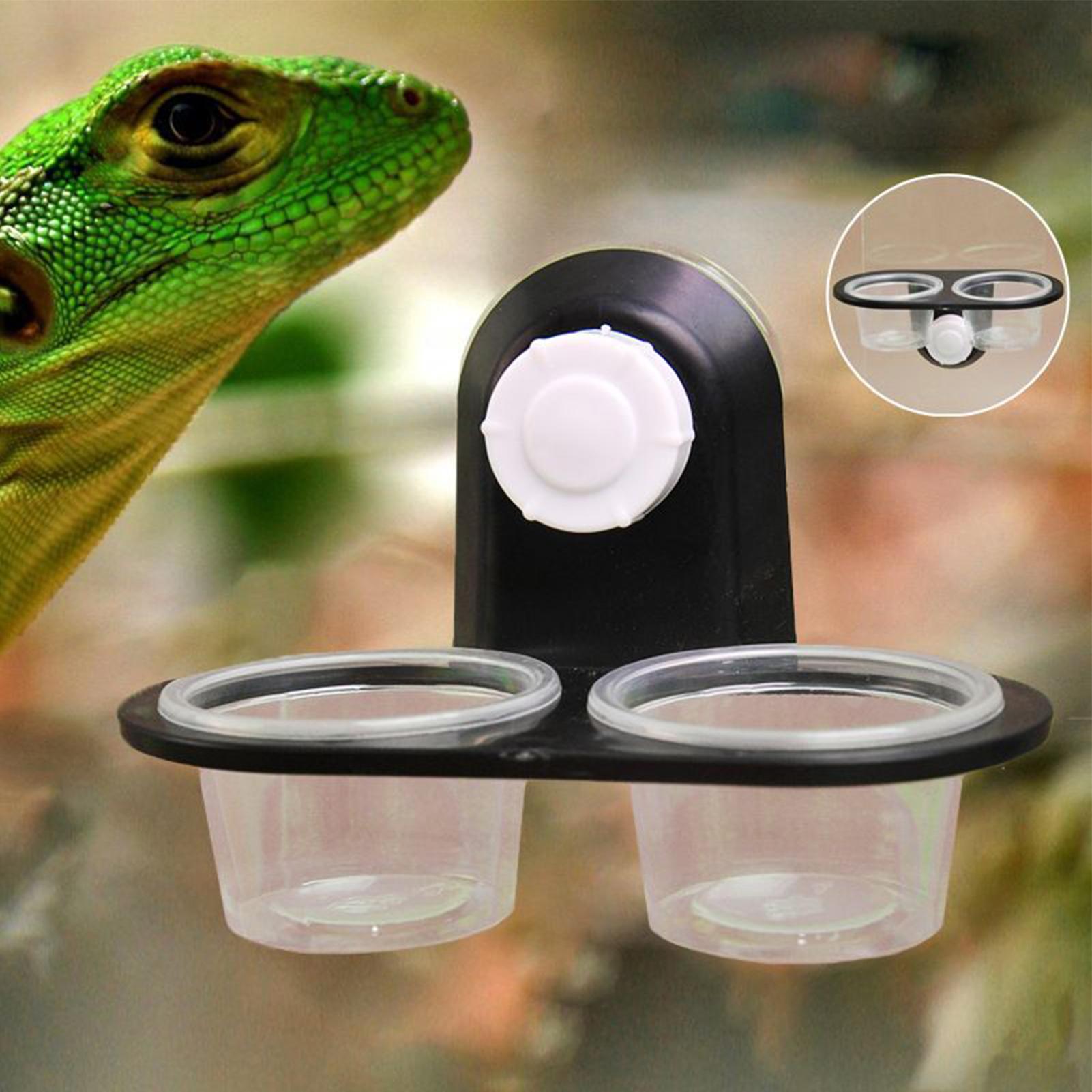 Gecko Feeder Ledge with Detach - Water Dish Reptile recensione e prezzo