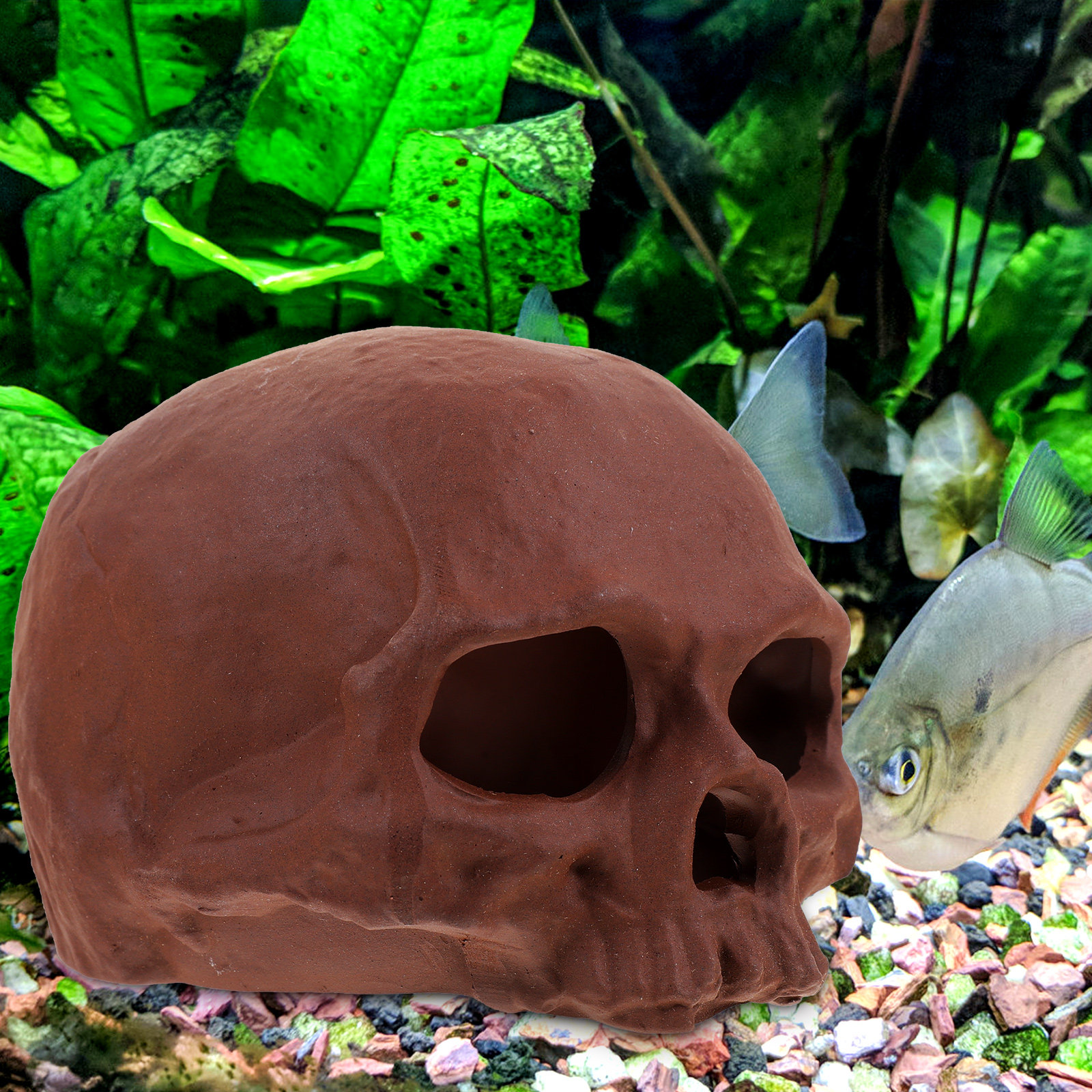 Ceramic Fish Tank Decoration S - Hide Cave Ceramic recensione e prezzo