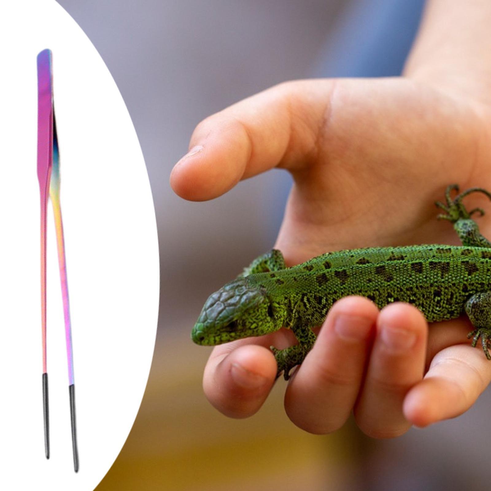Reptile Feeder Tongs Soft Sili - Feeding Tong Stainless recensione e prezzo