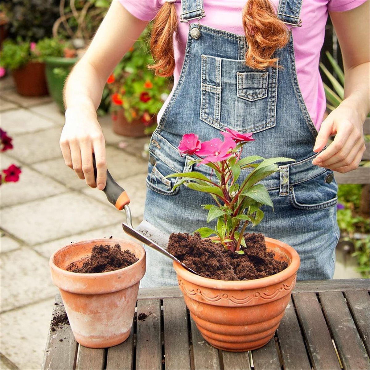 HITL 3 Pack Bricks, for Plants - Substrate Coconut Fiber recensione e prezzo