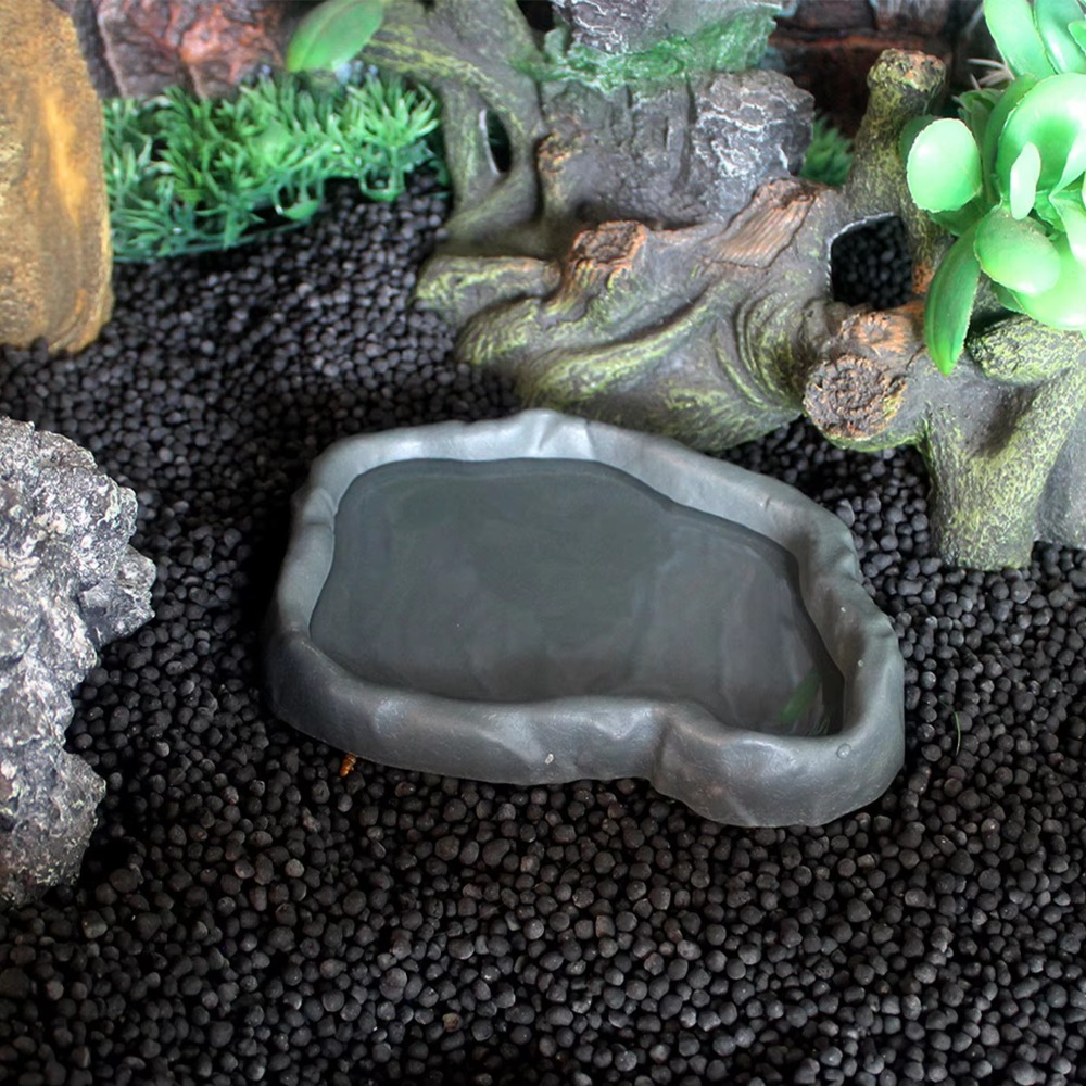 ABS Resin Reptile Feeder Bowl  - Water Dish Reptile recensione e prezzo