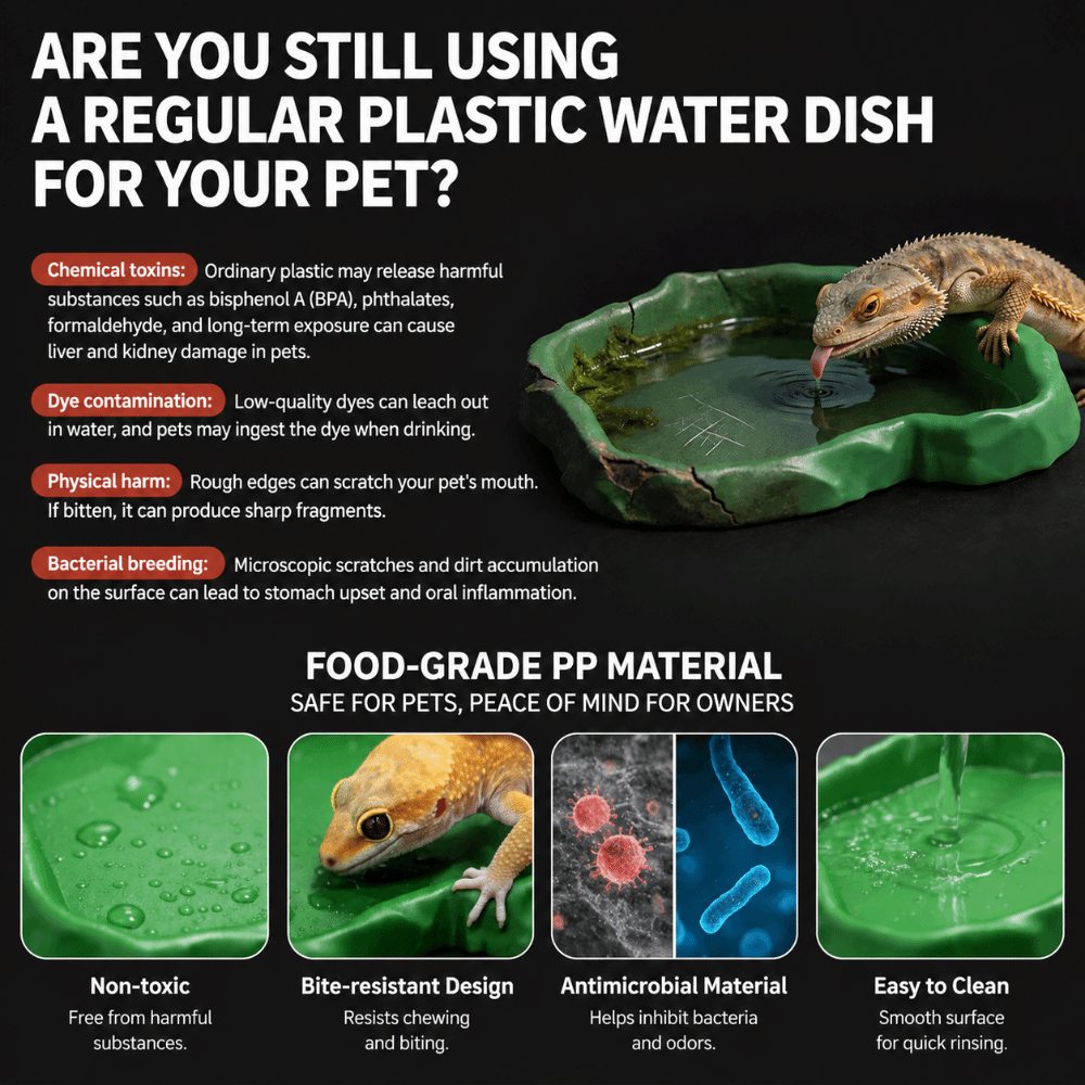 ABS Resin Reptile Feeder Bowl  - Water Dish Reptile recensione e prezzo