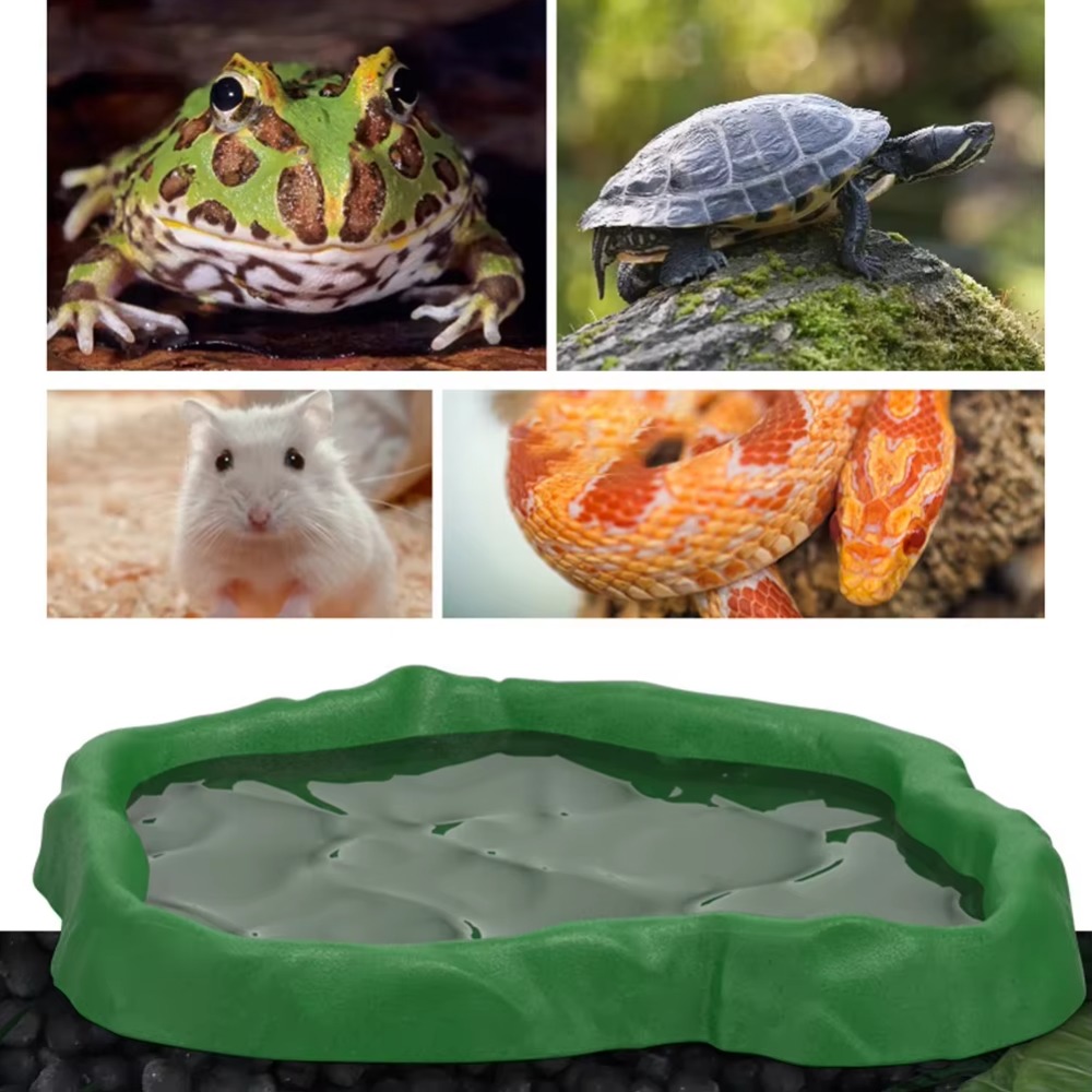 ABS Resin Reptile Feeder Bowl  - Water Dish Reptile recensione e prezzo