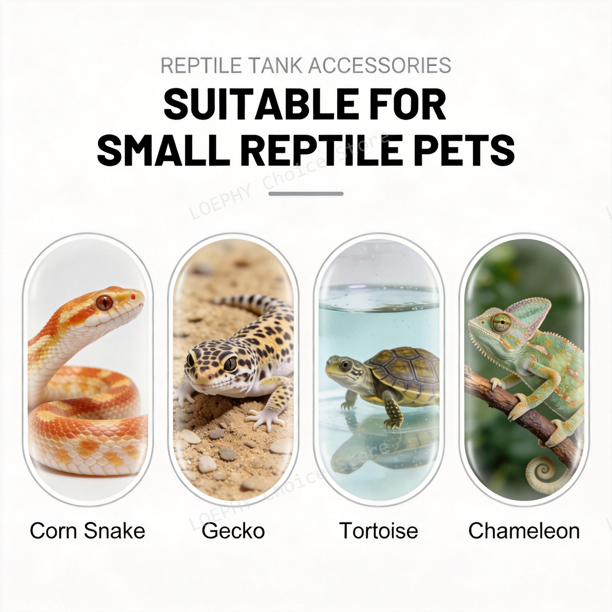 Castle Reptile Water Bowl Lion - Water Dish Reptile recensione e prezzo