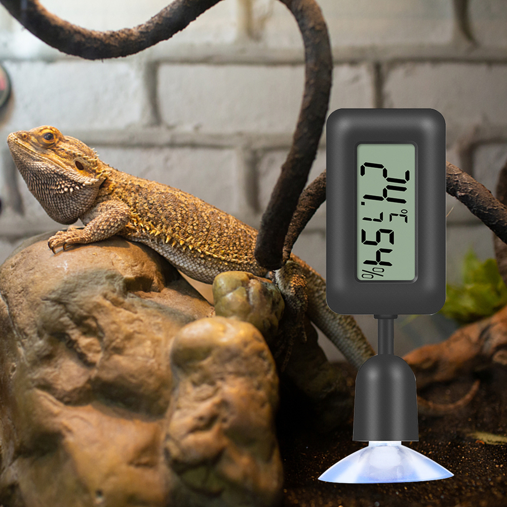 Reptile Thermometer Hygrometer - Digital Hygrometer Probe recensione e prezzo