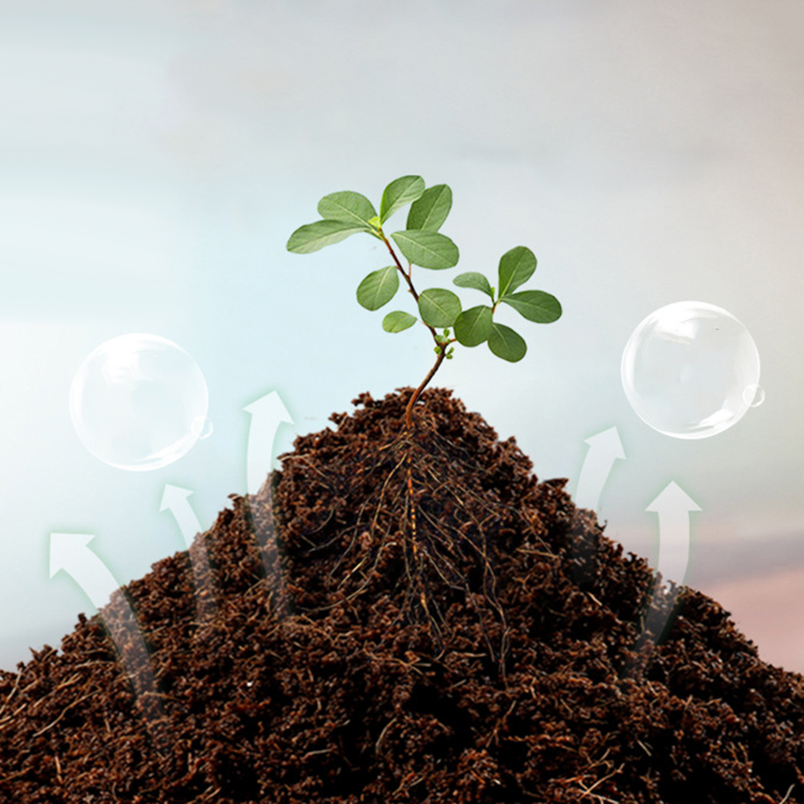 Soil Coconut Fibre Terrarium S - Substrate Coconut Fiber recensione e prezzo