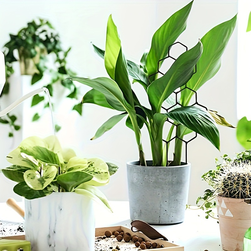 1PC Honeycomb Design Plant Tre - Vine Climbing Plastic recensione e prezzo
