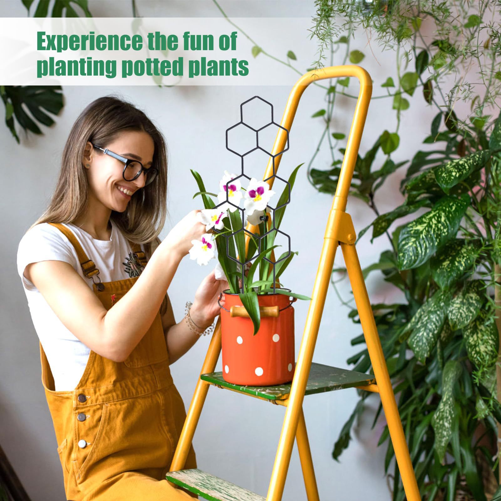 1PC Honeycomb Design Plant Tre - Vine Climbing Plastic recensione e prezzo