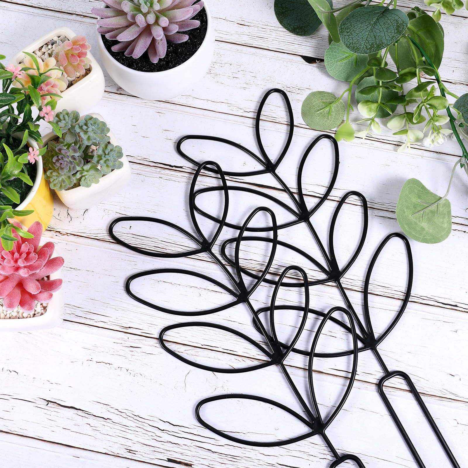 1PC Honeycomb Design Plant Tre - Vine Climbing Plastic recensione e prezzo