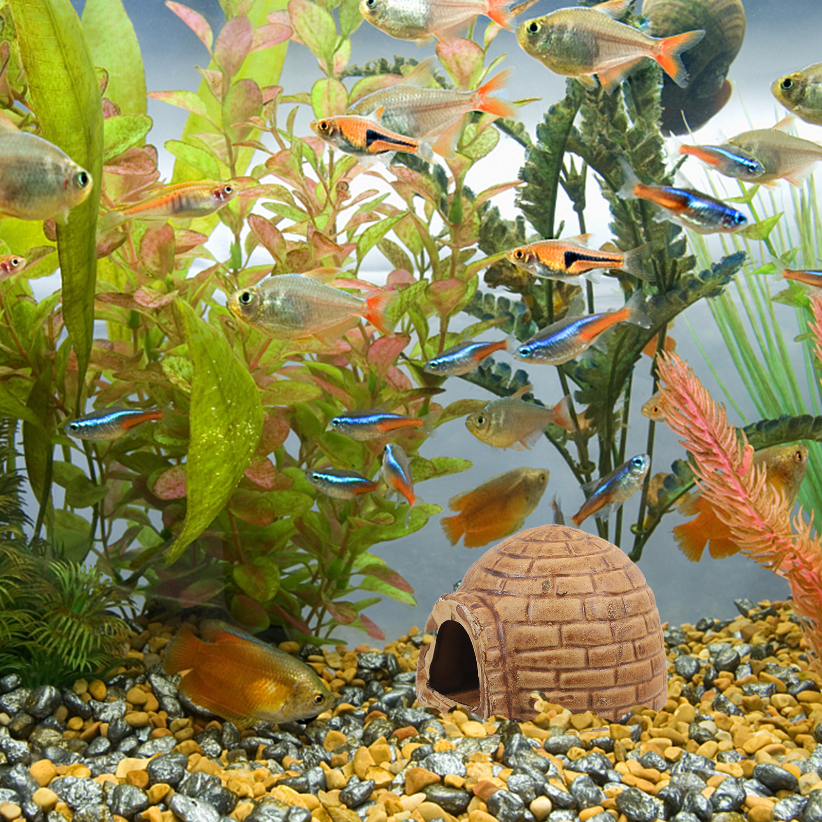 Ceramic Pleco Caves for Aquari - Hide Cave Ceramic recensione e prezzo