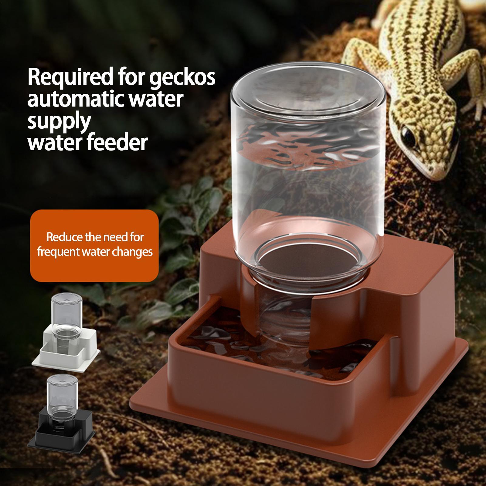 1pc Automatic Reptile Feeder A - Water Dish Reptile recensione e prezzo