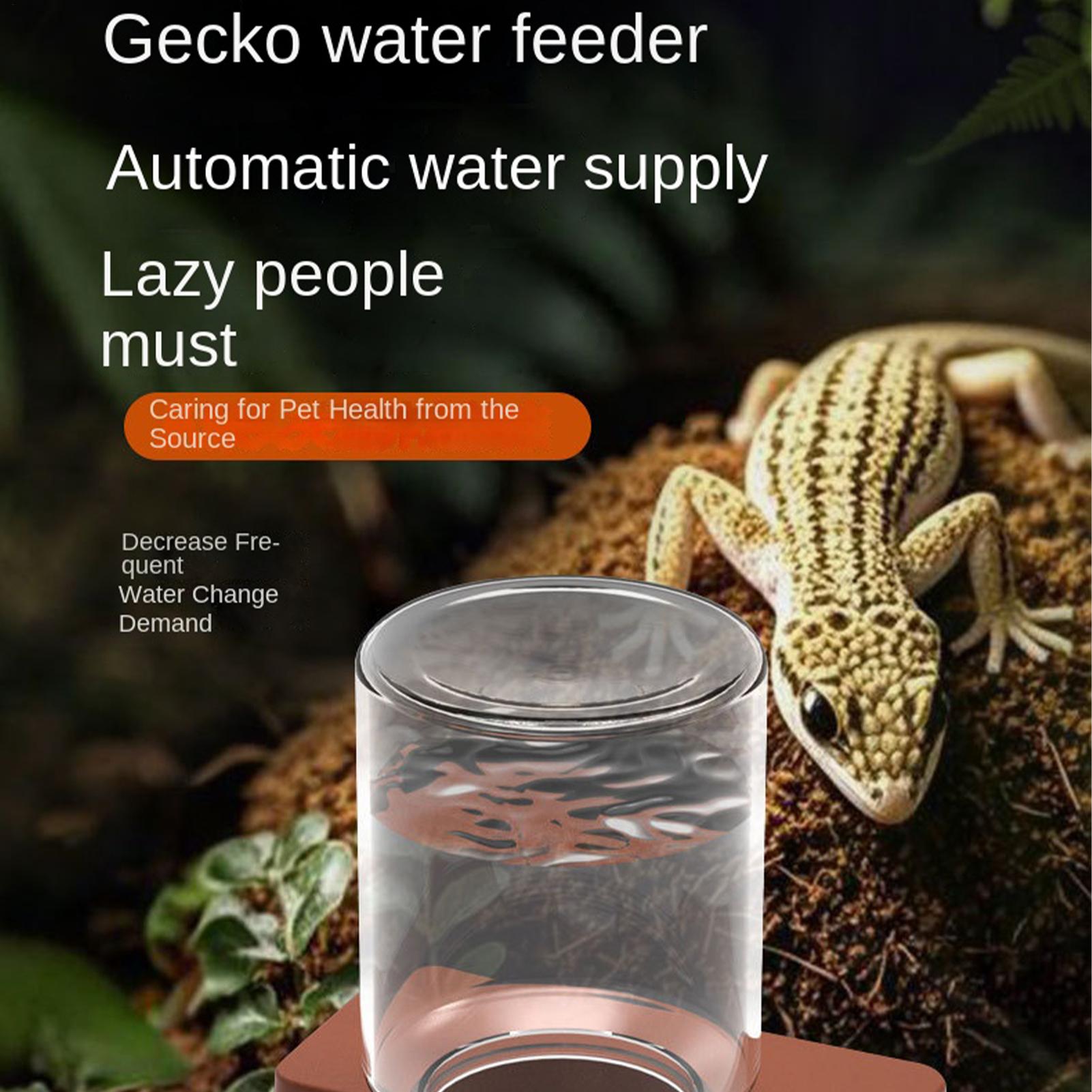 1pc Automatic Reptile Feeder A - Water Dish Reptile recensione e prezzo
